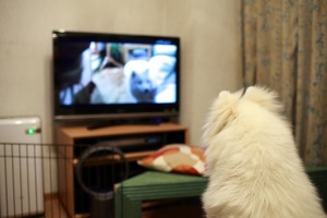 テレビ番組で紹介された情報をまとめてくれたお役立ちWebサービス3選